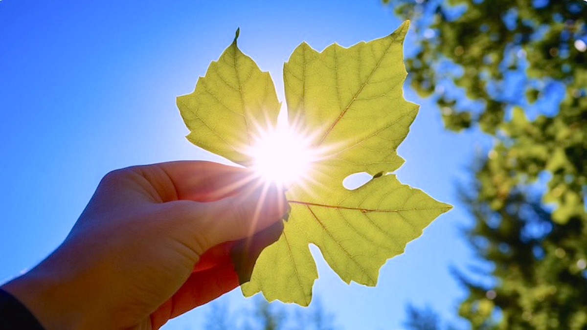 Психотерапия и коучинг