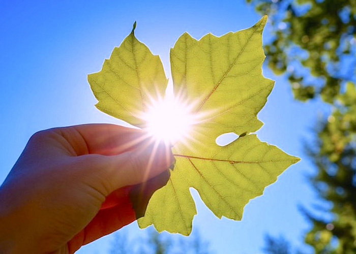 Психотерапия и коучинг