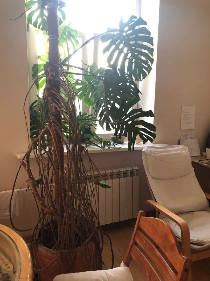 2-комнатная квартира, 60 м² — фото 5