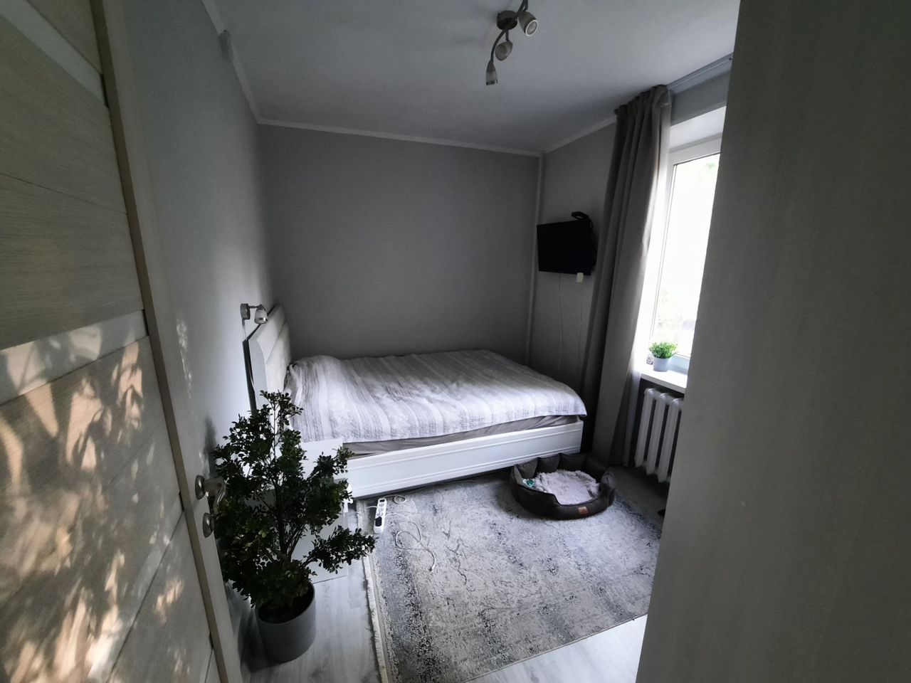 2-комнатная квартира, 40 м² — фото 8