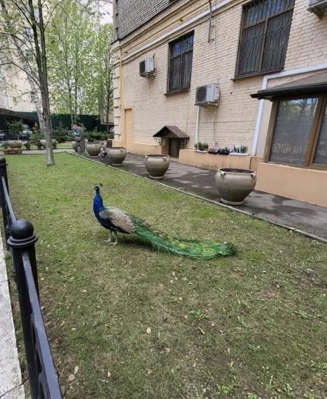 2-комнатная квартира, 55 м² — фото 8