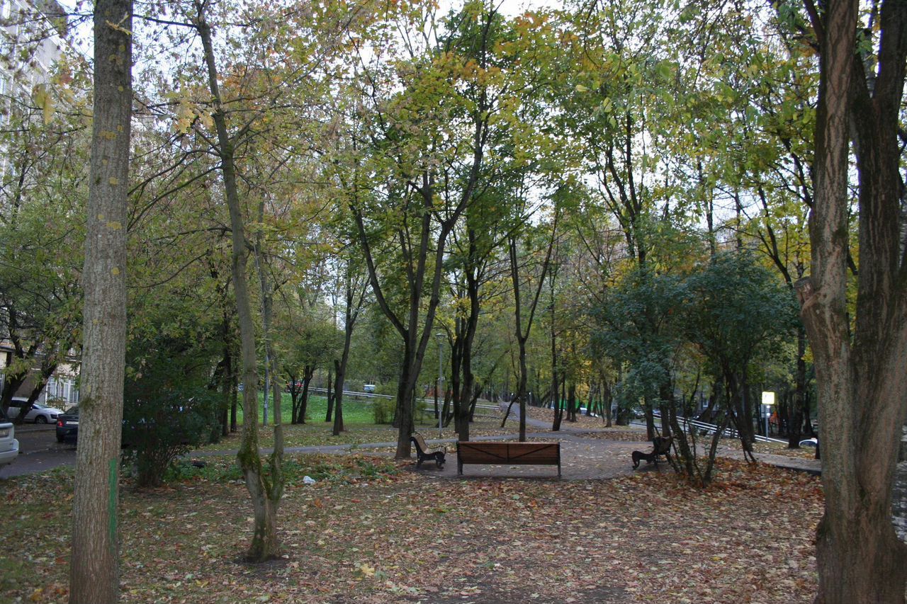 2-комнатная квартира, 46 м² — фото 2