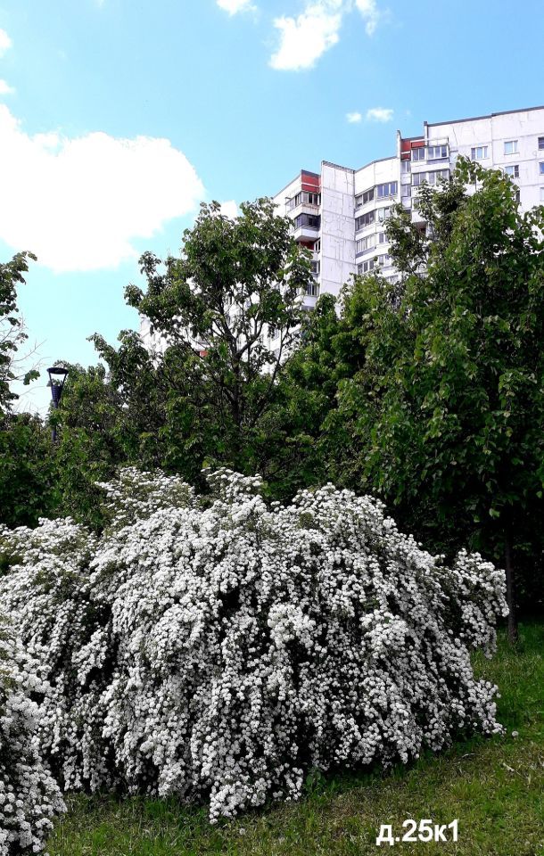 3-комнатная квартира, 75 м² — фото 3