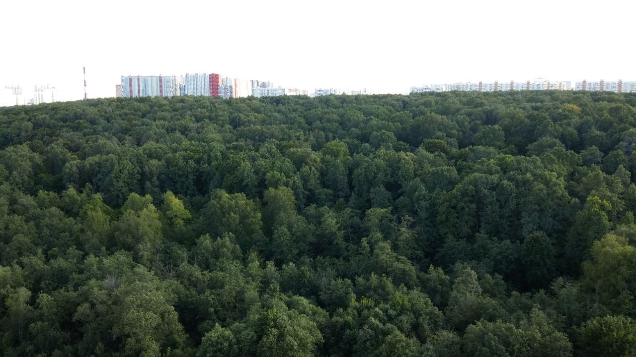 1-комнатная квартира, 40 м² — фото 5