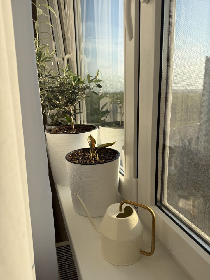 1-комнатная квартира, 40 м² — фото 5