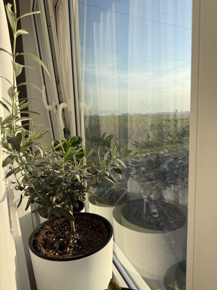 1-комнатная квартира, 40 м² — фото 6