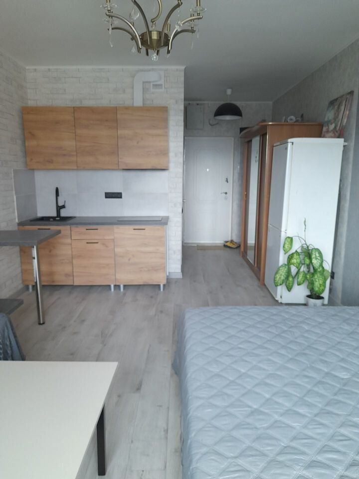 Квартира-студия, 25 м² — фото 4