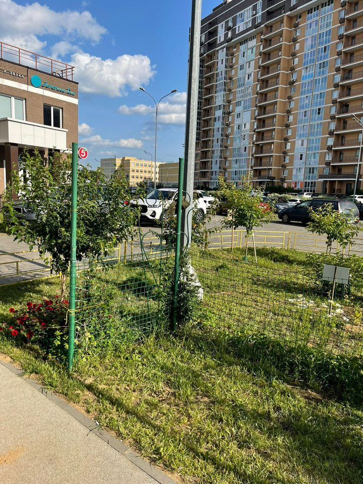 2-комнатная квартира, 50 м² — фото 2