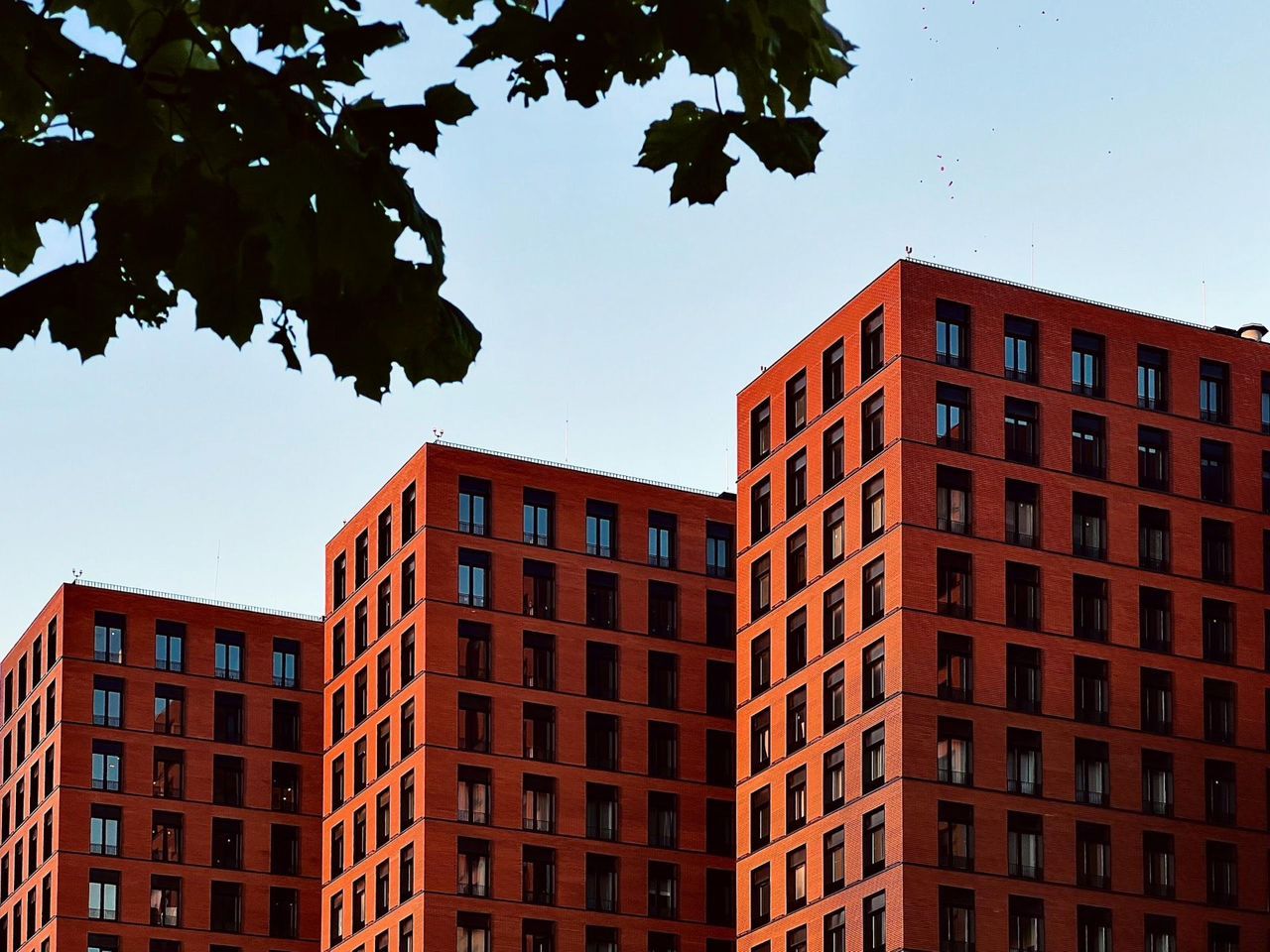 2-комнатная квартира, 55 м² — фото 3