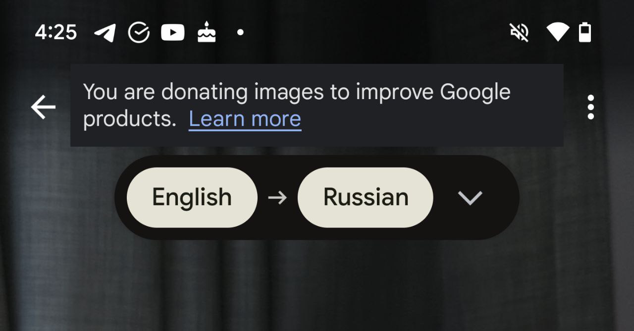 Понравилась формулировка: you are donating images. Магия слов — и вот уже не ваши данные…