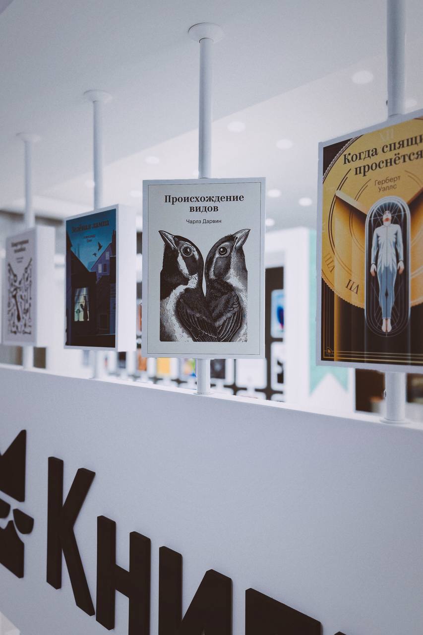 Выхожу и вижу. Это неожиданно! Неожиданное ощущение — столкнуться в реальности со штукой,…, медиа 2