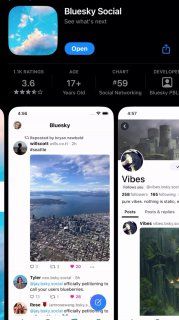 Got an invite to Bluesky. This is the new Twitter from the biggest Rick Owens fan, and also the creator of Twitter - Jack Dorsey.