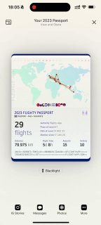 Flighty, in its year-end results, gives an option: "make it beautiful." And draws neon lighting around Dynamic Island. In the screencast you can see that it does not fit. In the static screenshot you can see what they wanted to do.