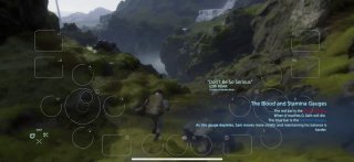 In principle, playable. The internal image resolution is not high; video in TG will not convey the 1:1 feeling.