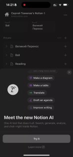 Notion suggests turning on an assistant. Or a new assistant. I cannot say how much better this new AI is than that new one that was there before. Honestly, I do not really follow the evolution of species inside their universe.