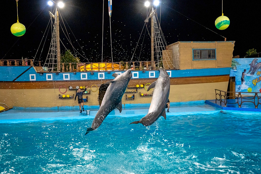 Arkhipo-Osipovka Dolphinarium