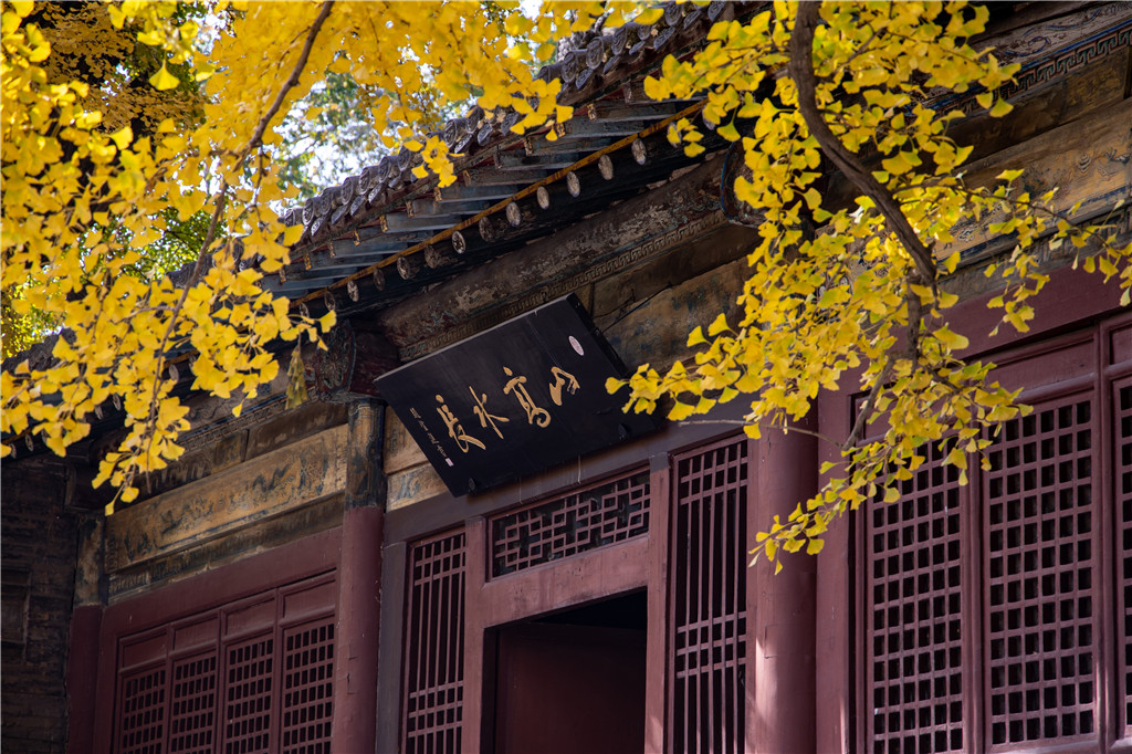 Jinci Museum cover image