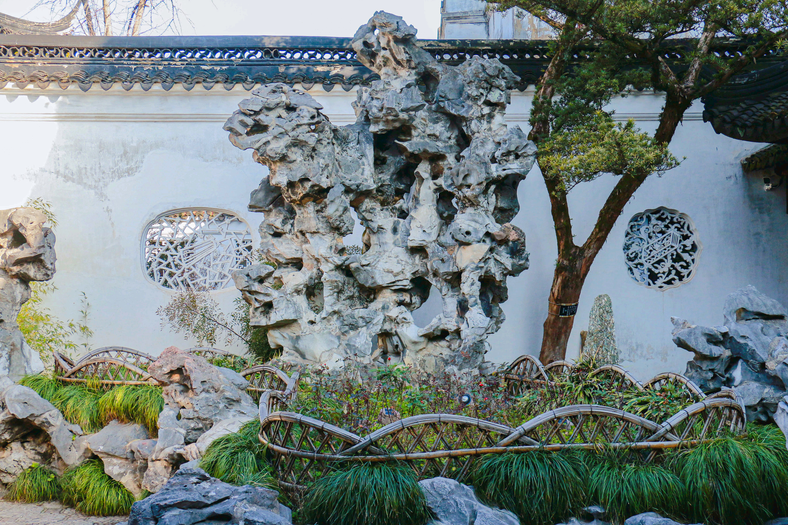 Lion Grove Garden(Shizilin Garden) cover image