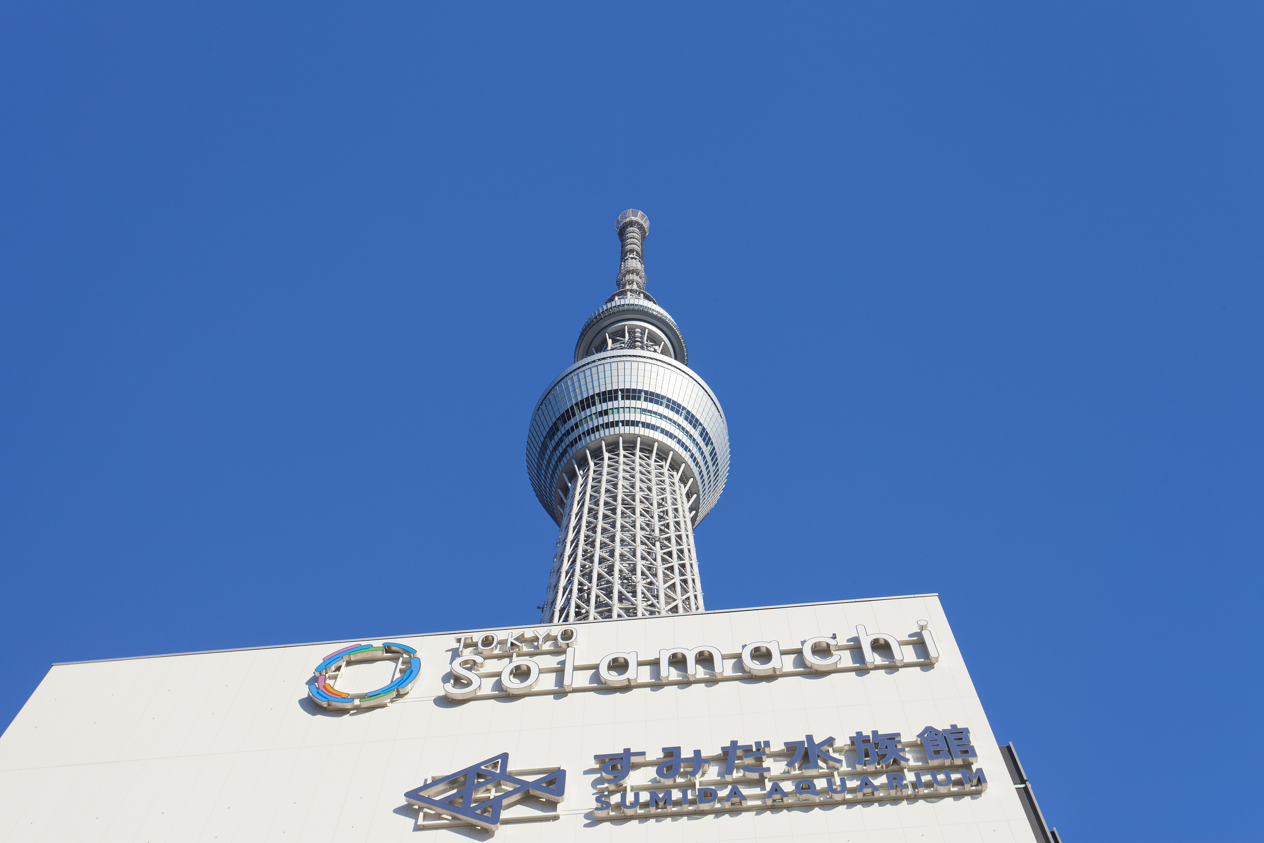 Sumida Aquarium cover image