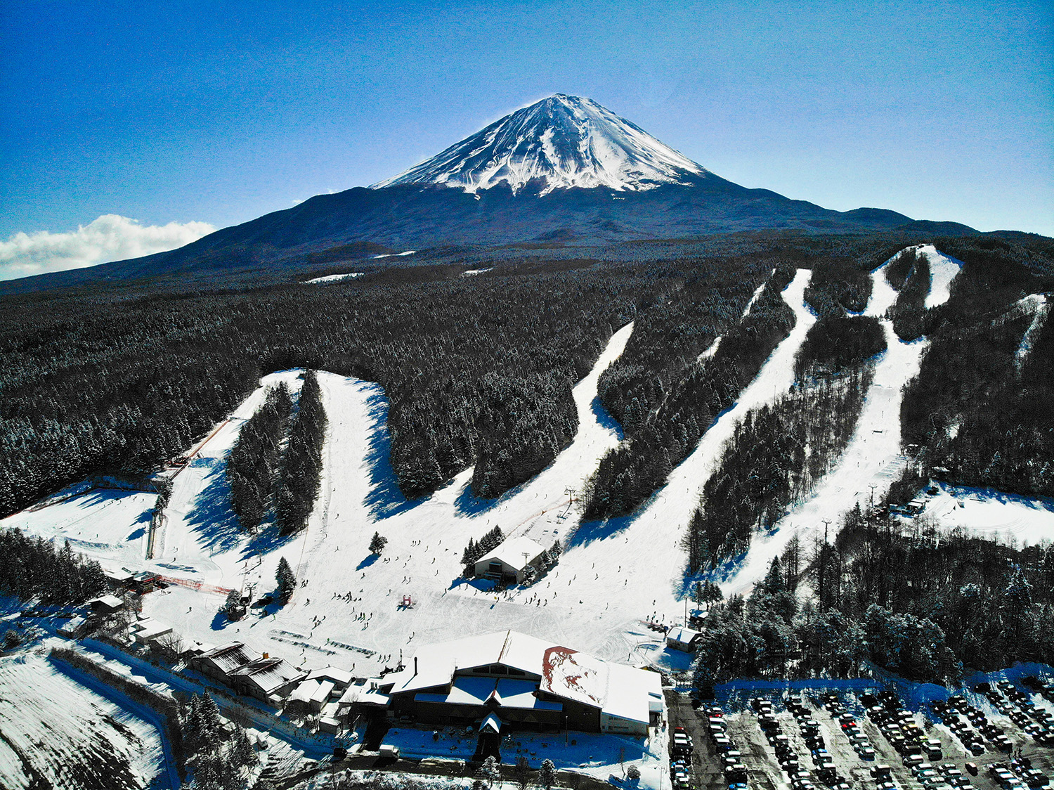 Fujiten Snow Resort cover image