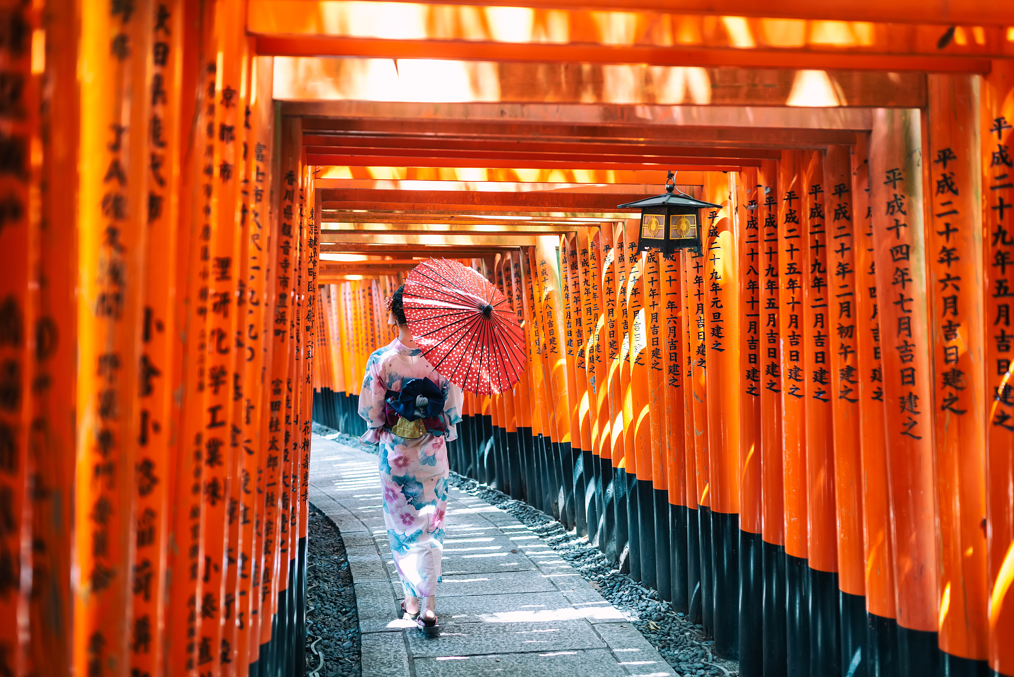 Fushimi Inari Shrine cover image