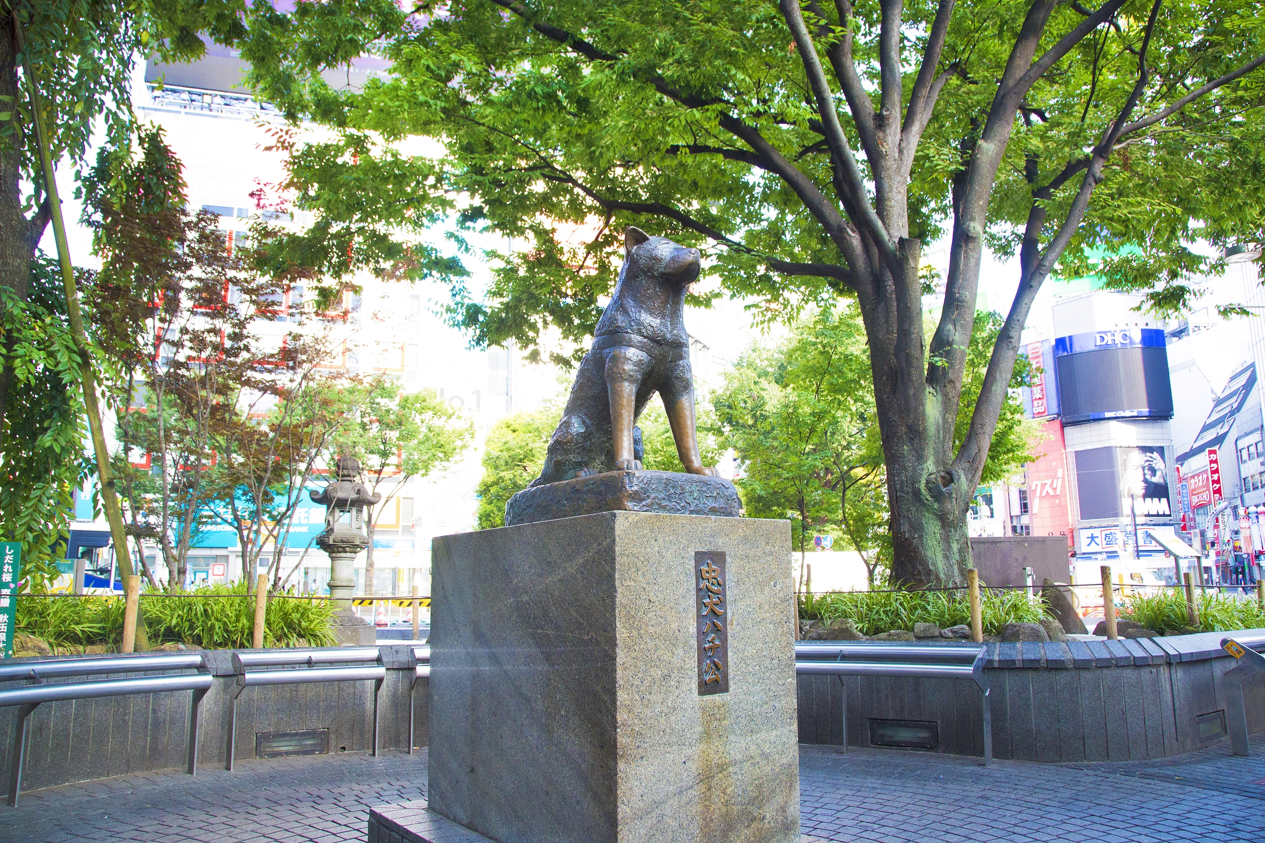 Статуя Хатико