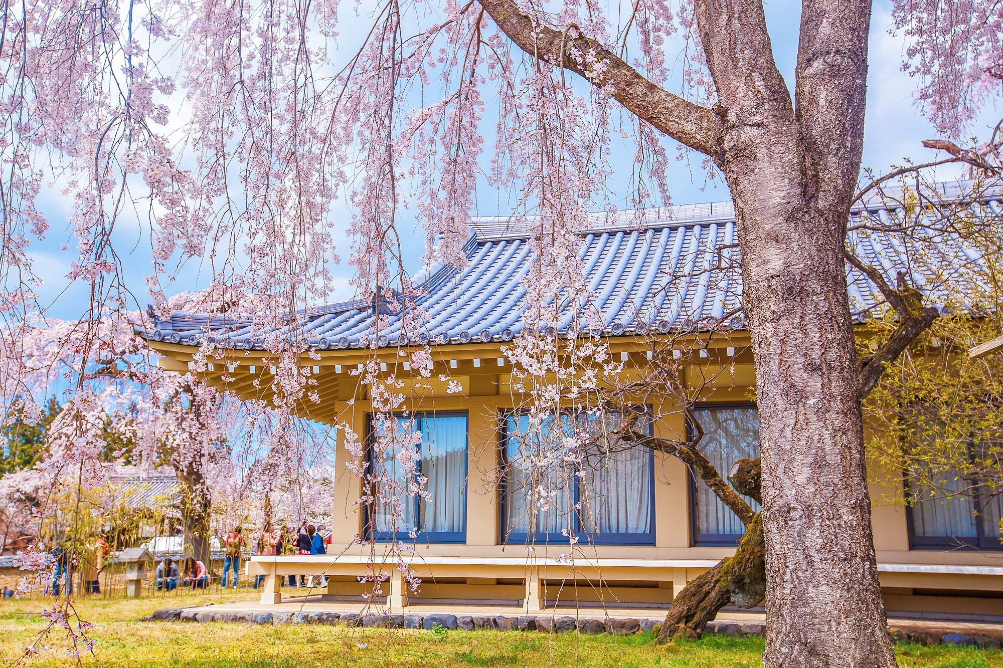 Daigo-ji Temple cover image