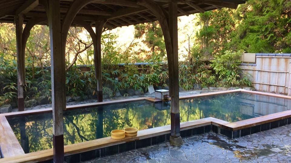 Hot Springs (Onsen) cover image