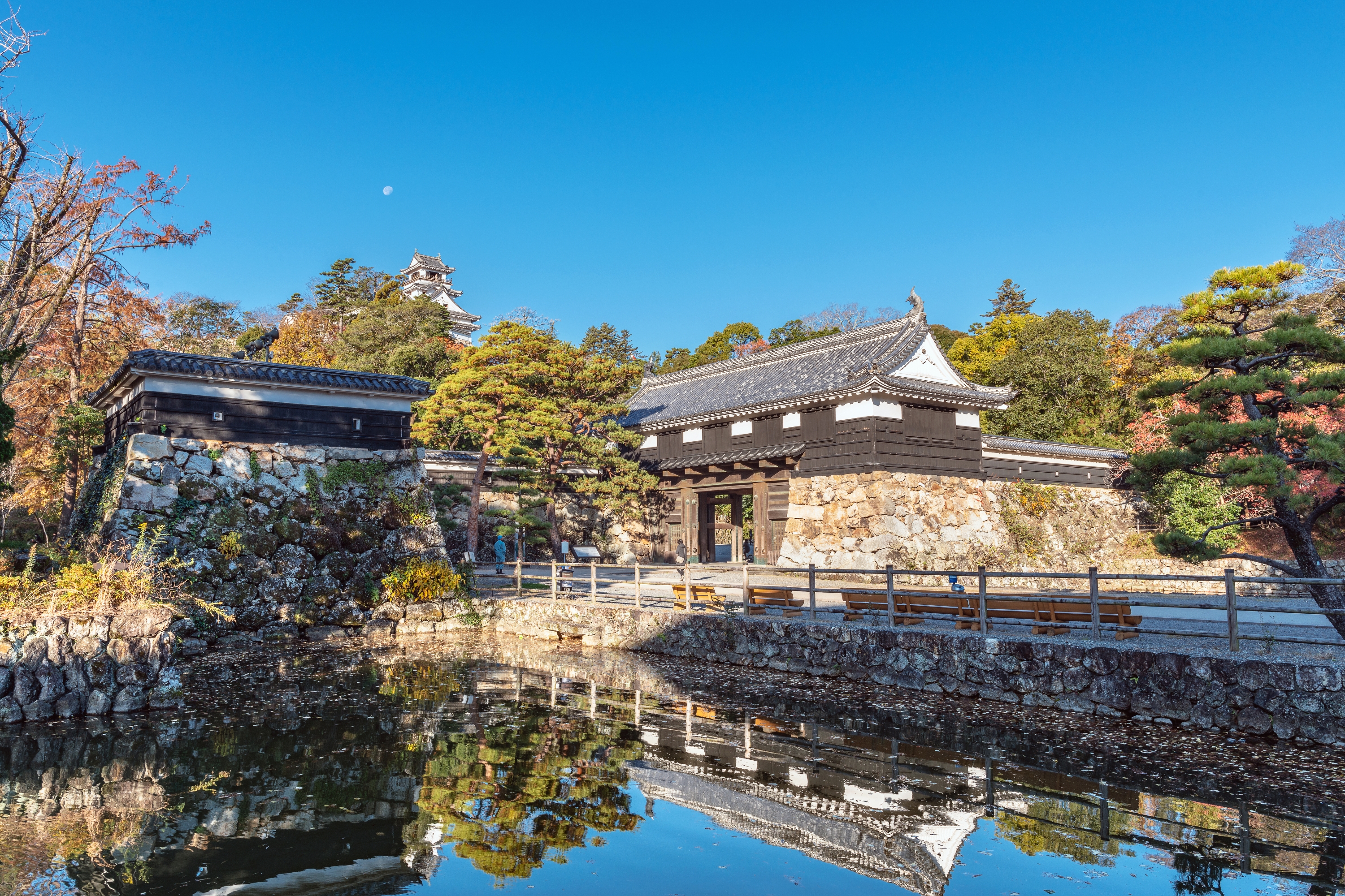 Kochi Castle cover image