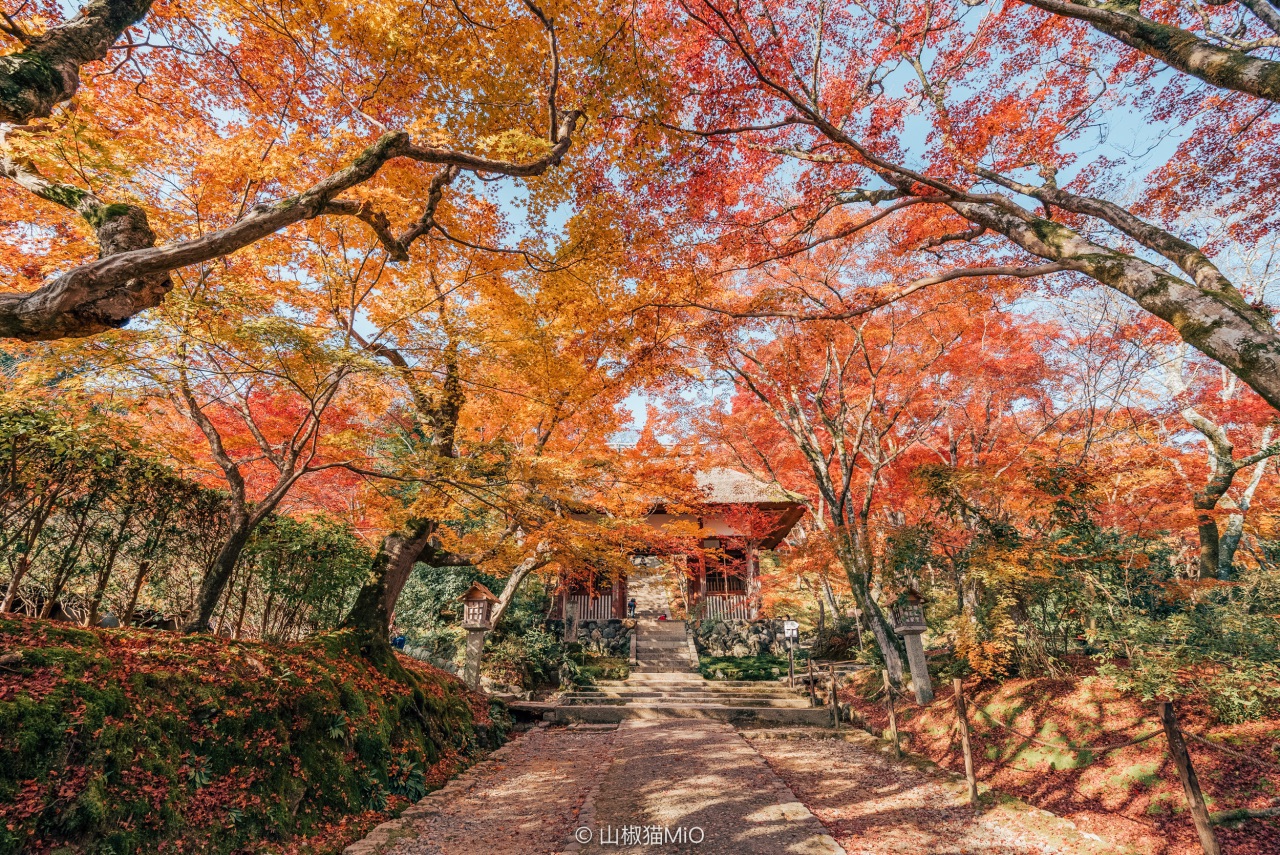 Храм Дзёдзяккодзи