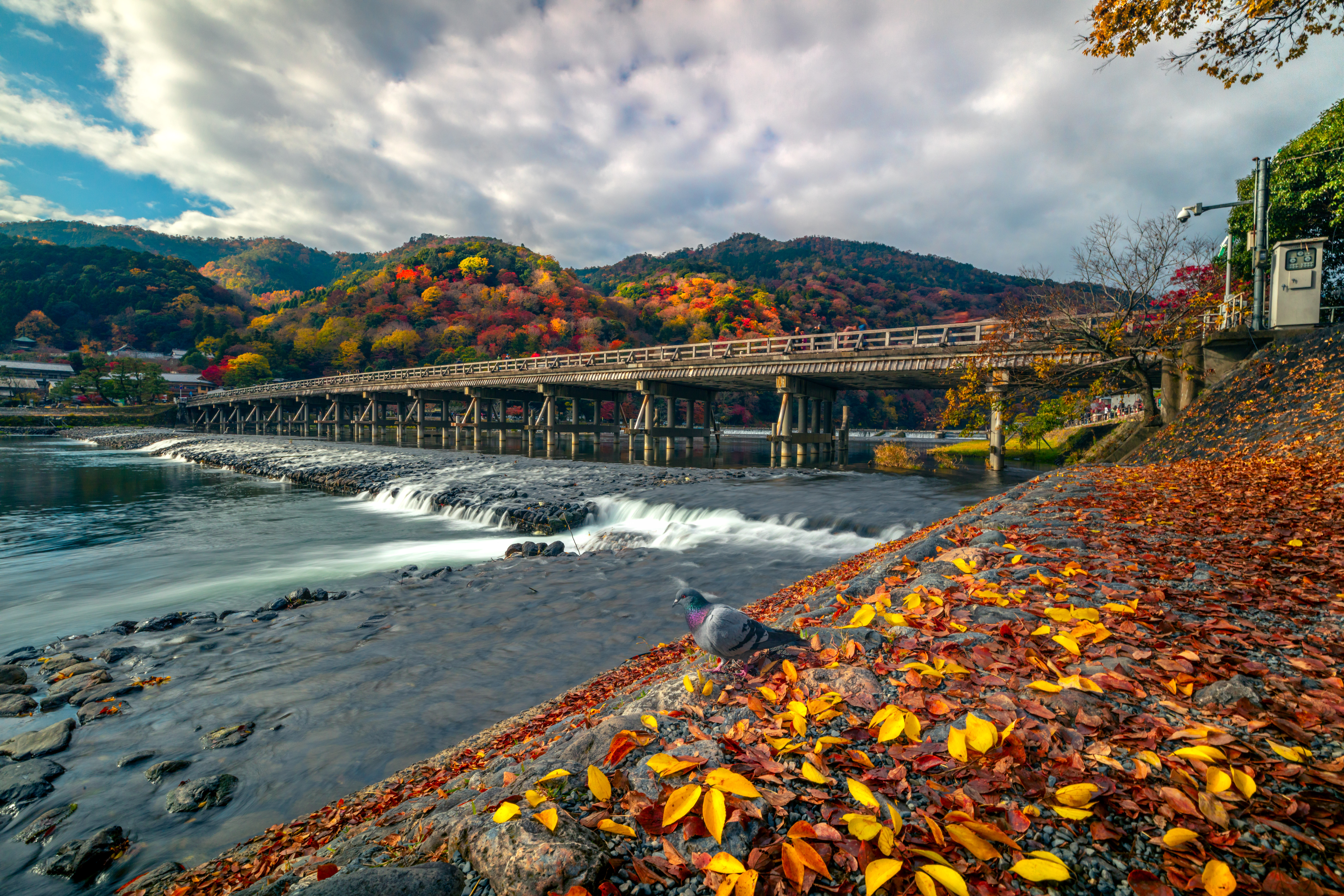 Мост Тогэцукё