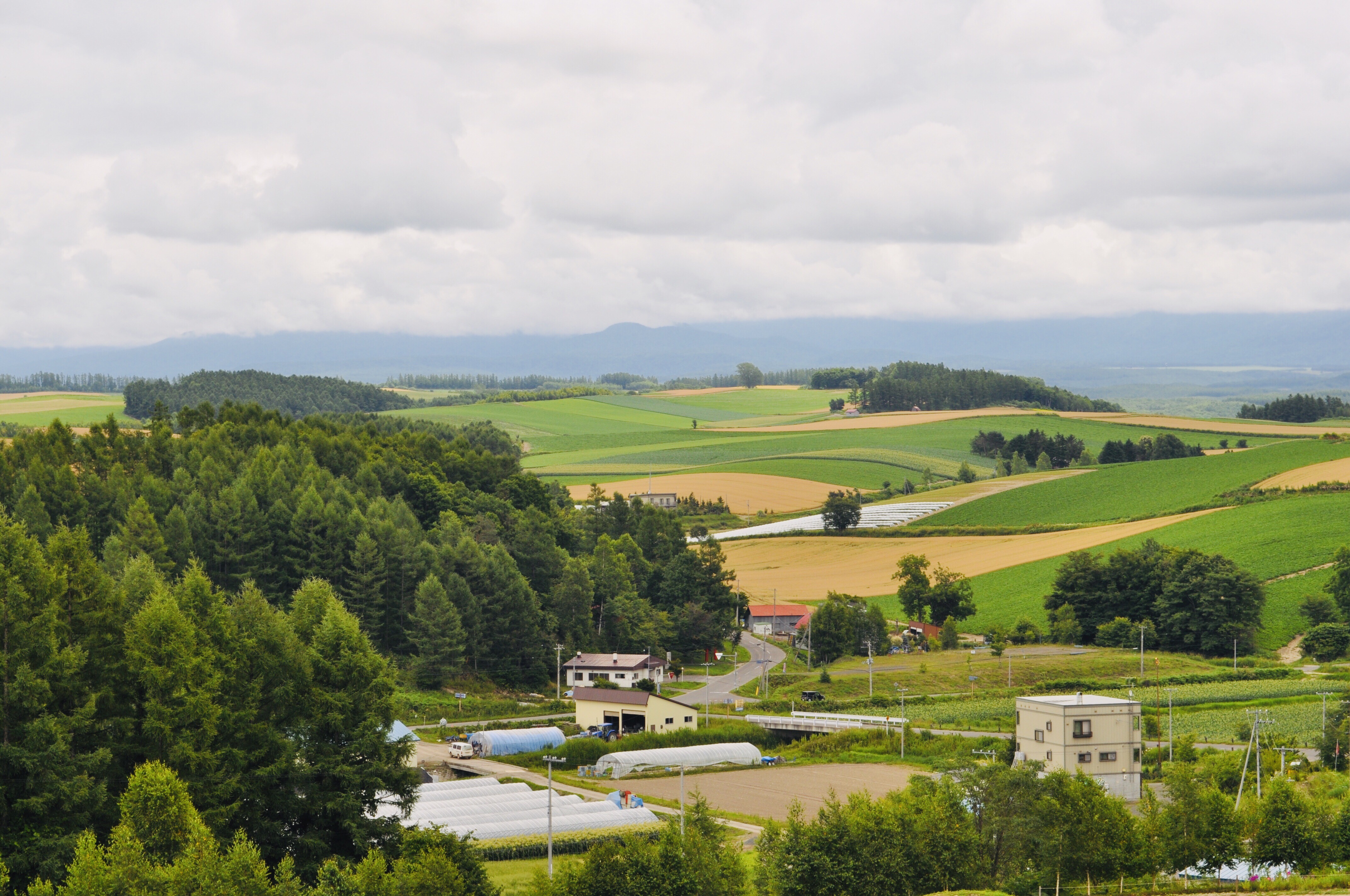 Patchwork no Michi cover image