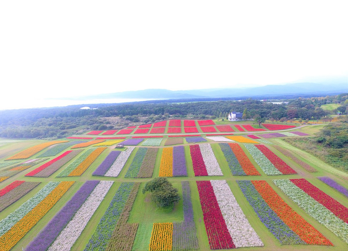 Yakurai Garden cover image