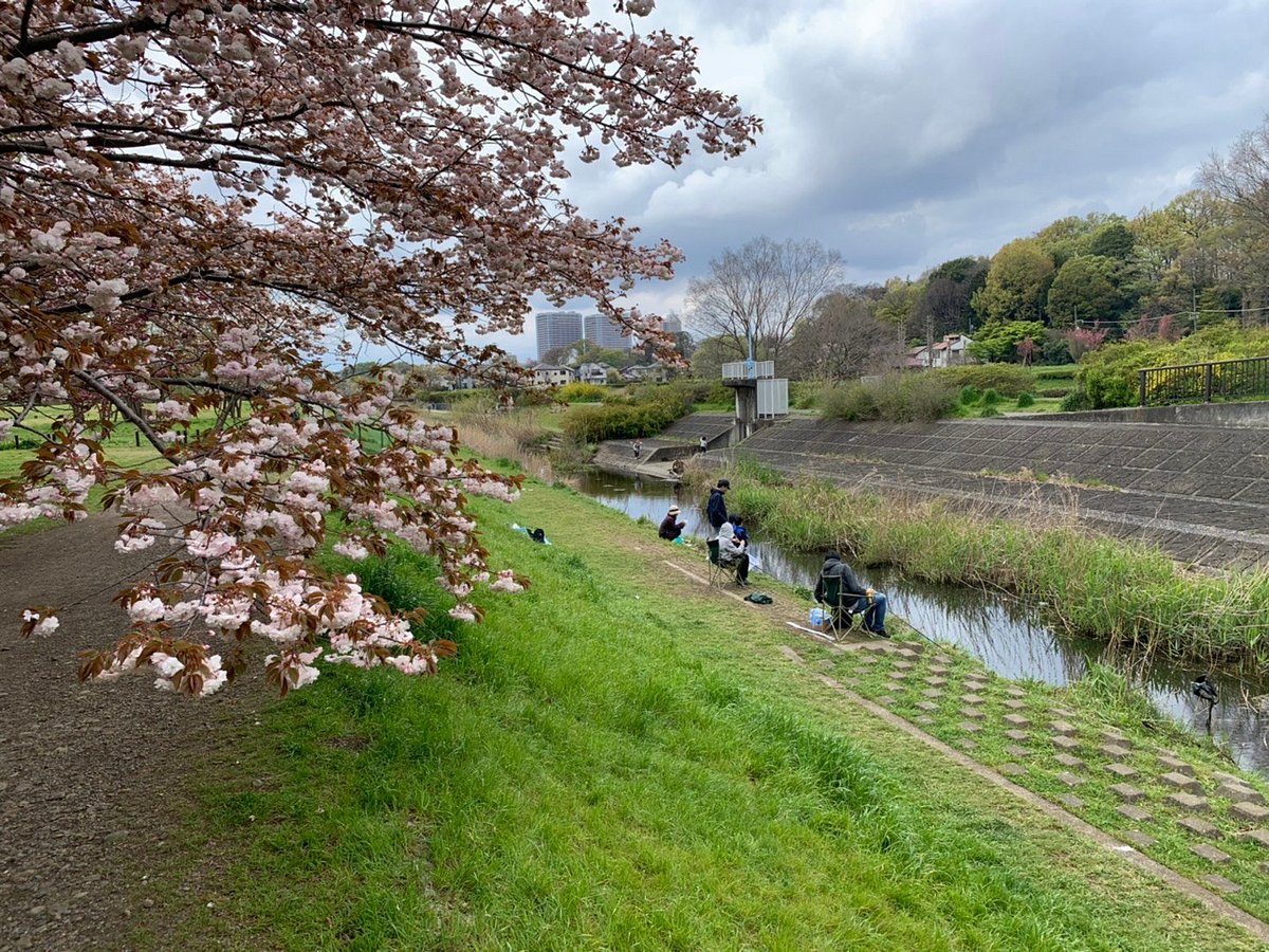 Парк Ногава