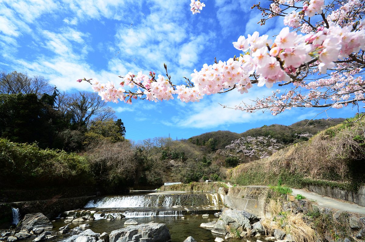 Settsukyo Park cover image