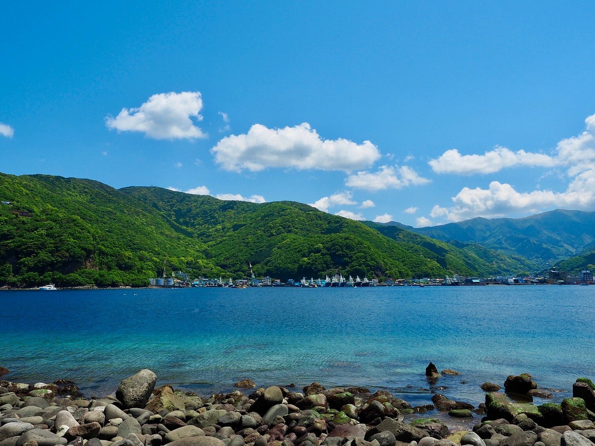 Heda Port cover image