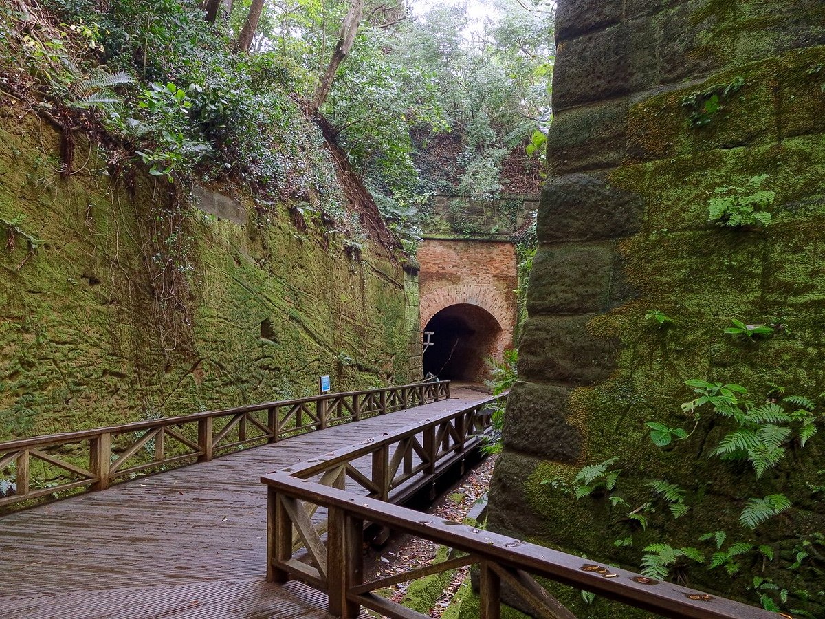 Sarushima Island (Monkey Island) cover image