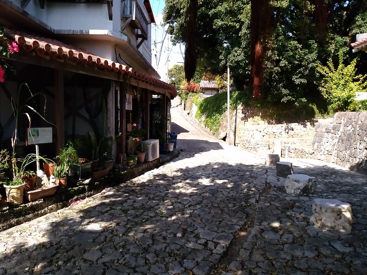 Shrikinjocho Stone-Path Road cover image