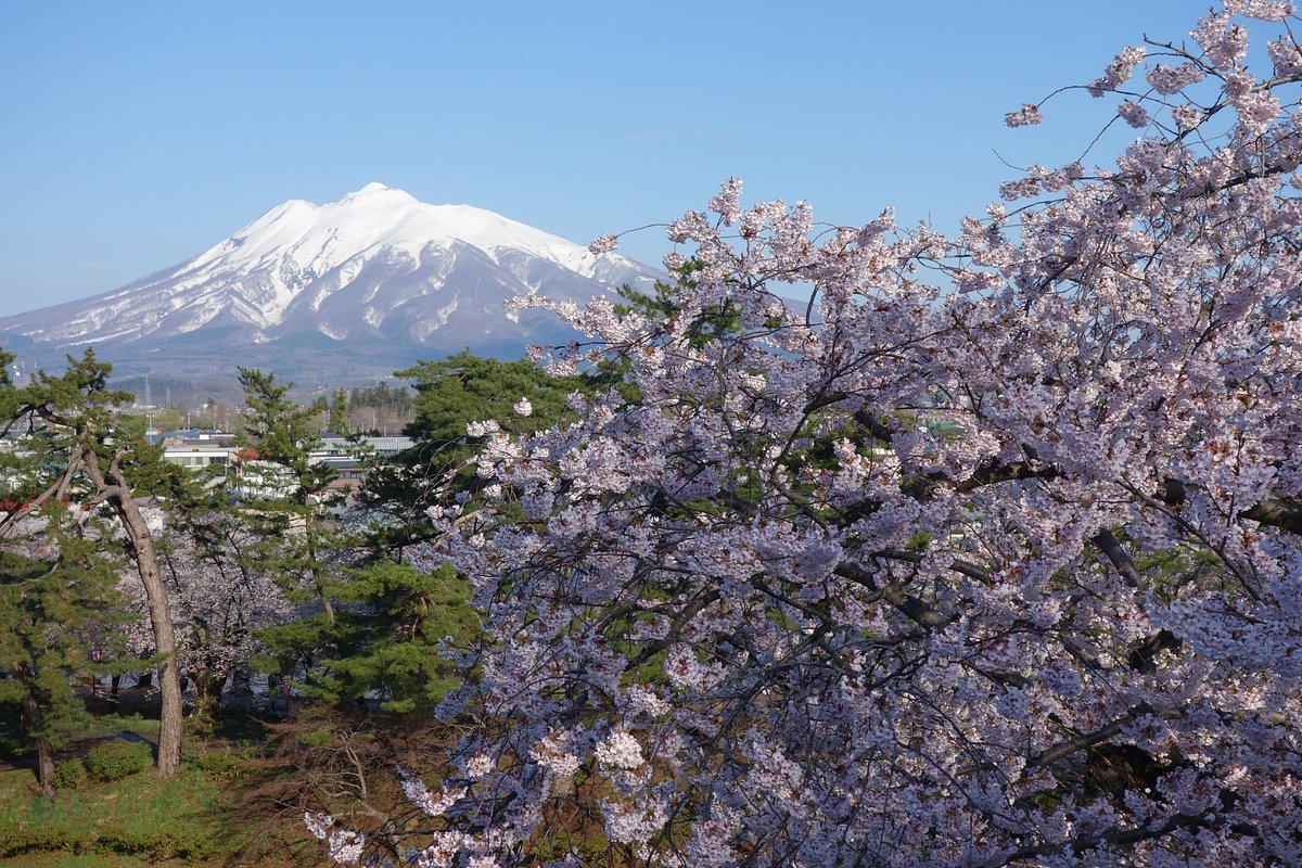 Mt. Iwaki cover image