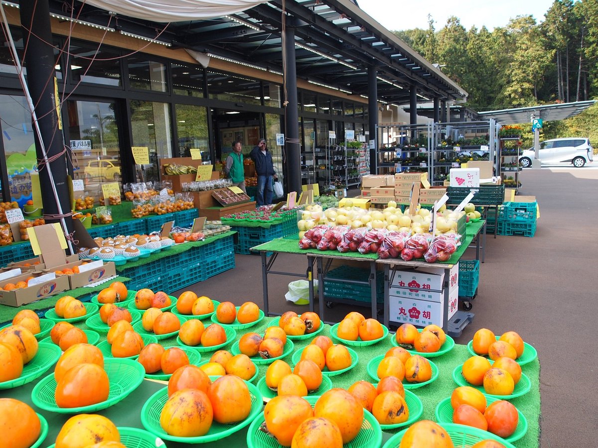 Michi no Eki Tsu Kawage cover image