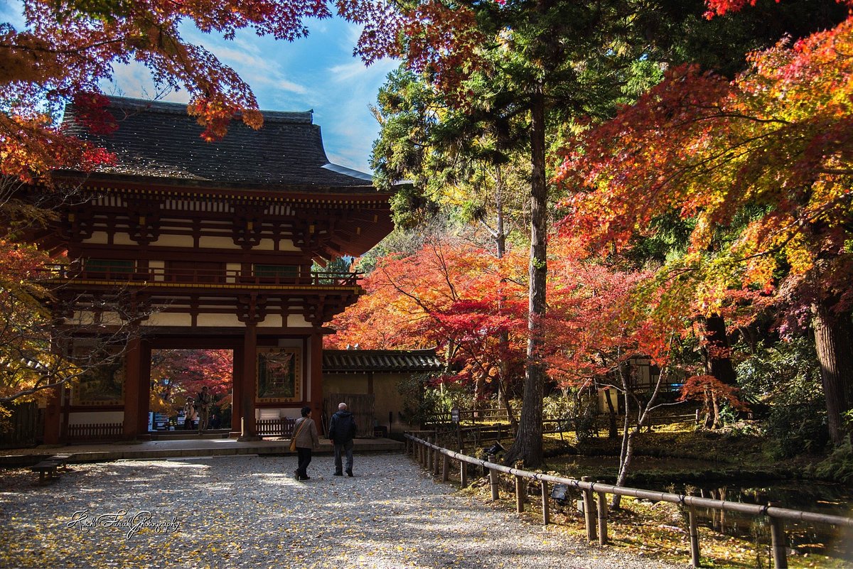 Muroji Temple cover image