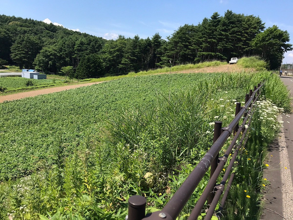 Kitahiroshima Cycling Road cover image