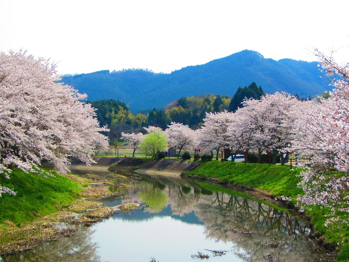 Matabeezakura cover image