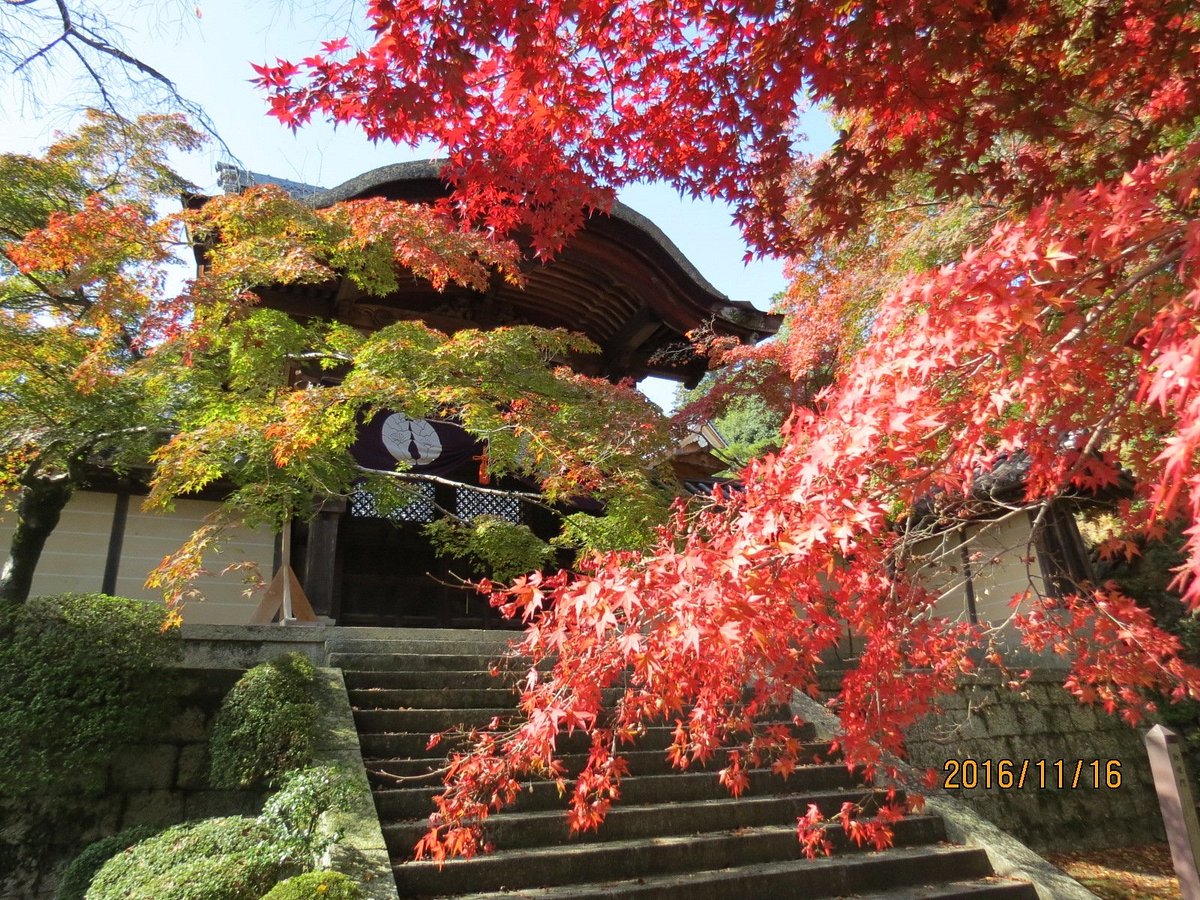 Komyoji Temple cover image