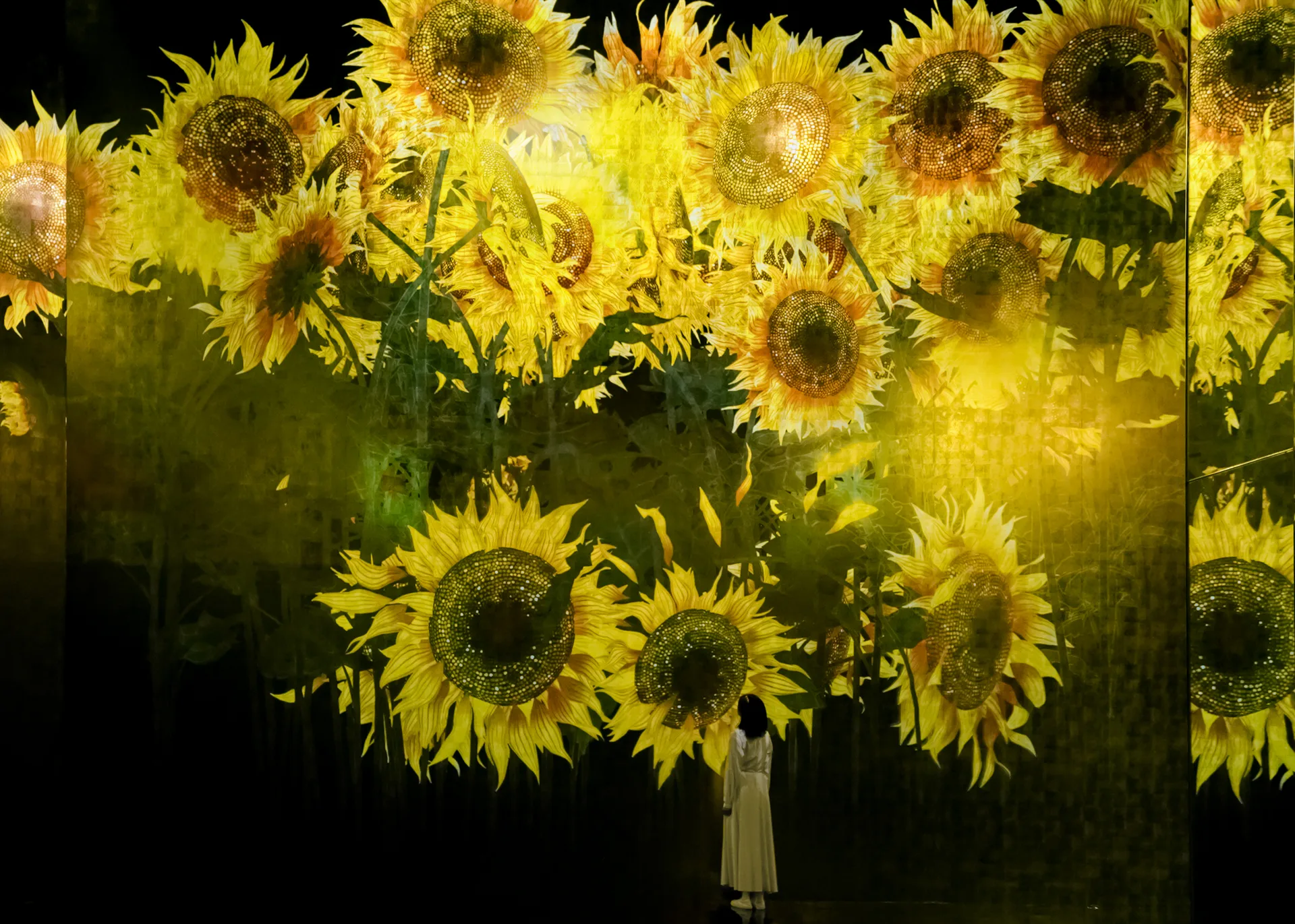 teamLab Биовортекс Киото