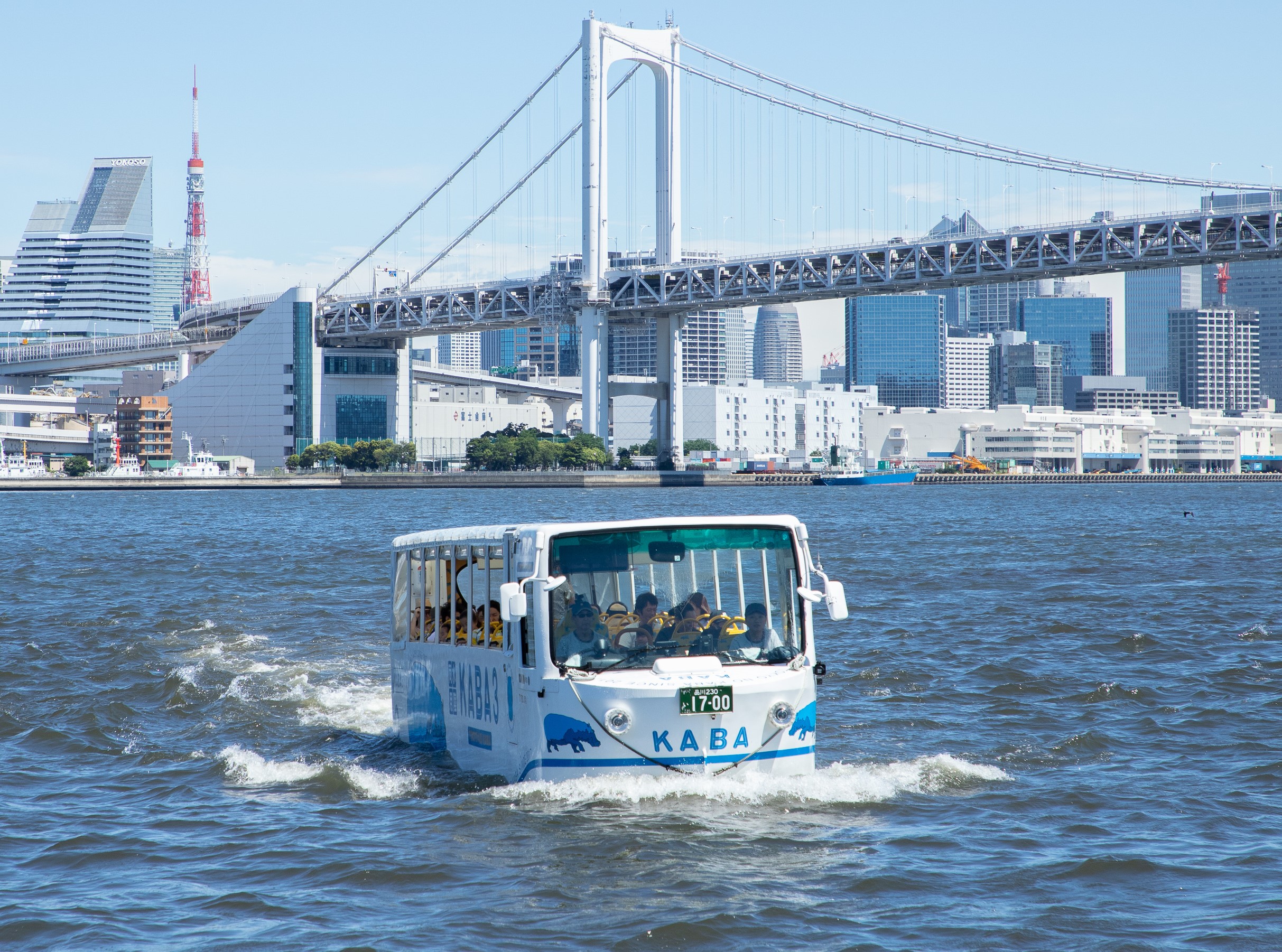 Амфибия TOKYO NO KABA
