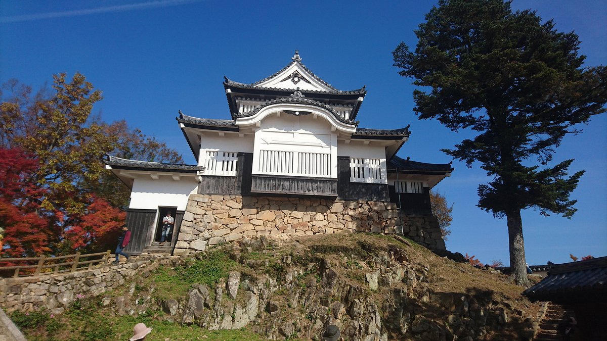 Bitchu Matsuyama Castle cover image