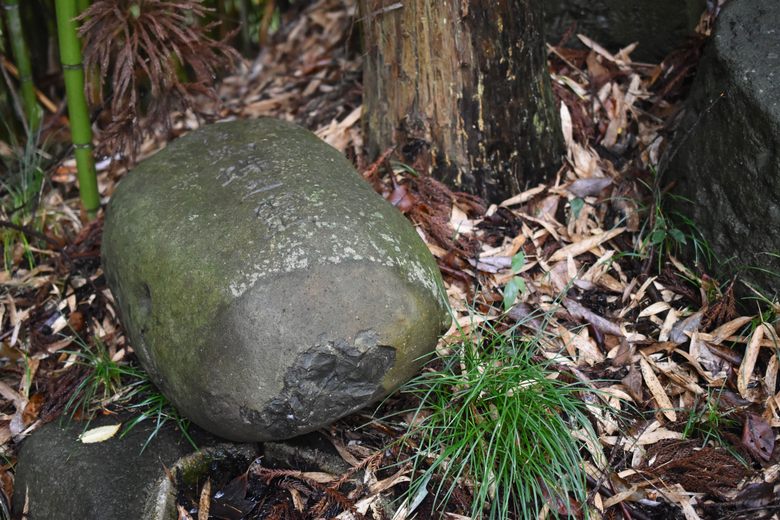 Kashikobuchi Spider Stele cover image