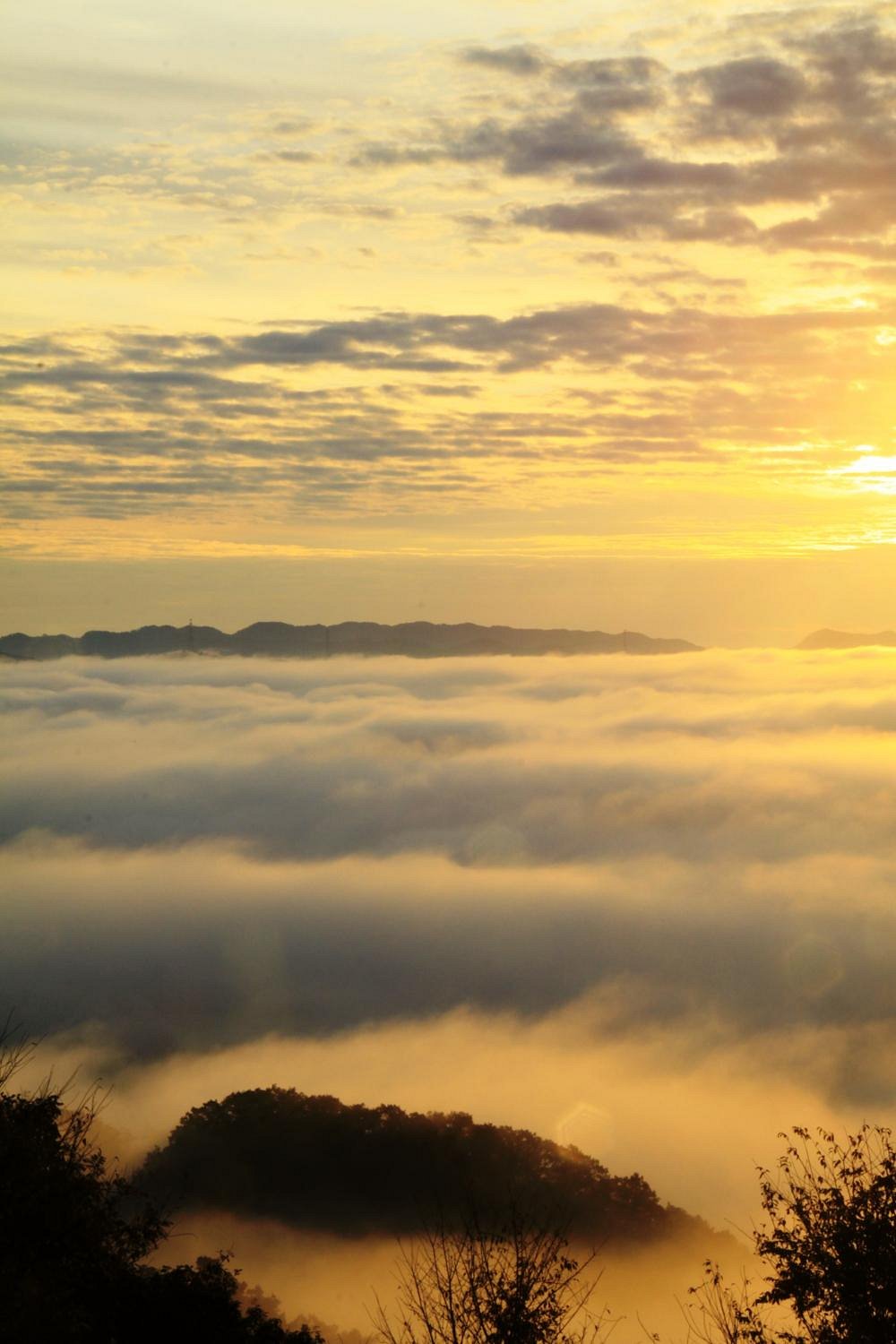 Nishiharima Observatory Park cover image