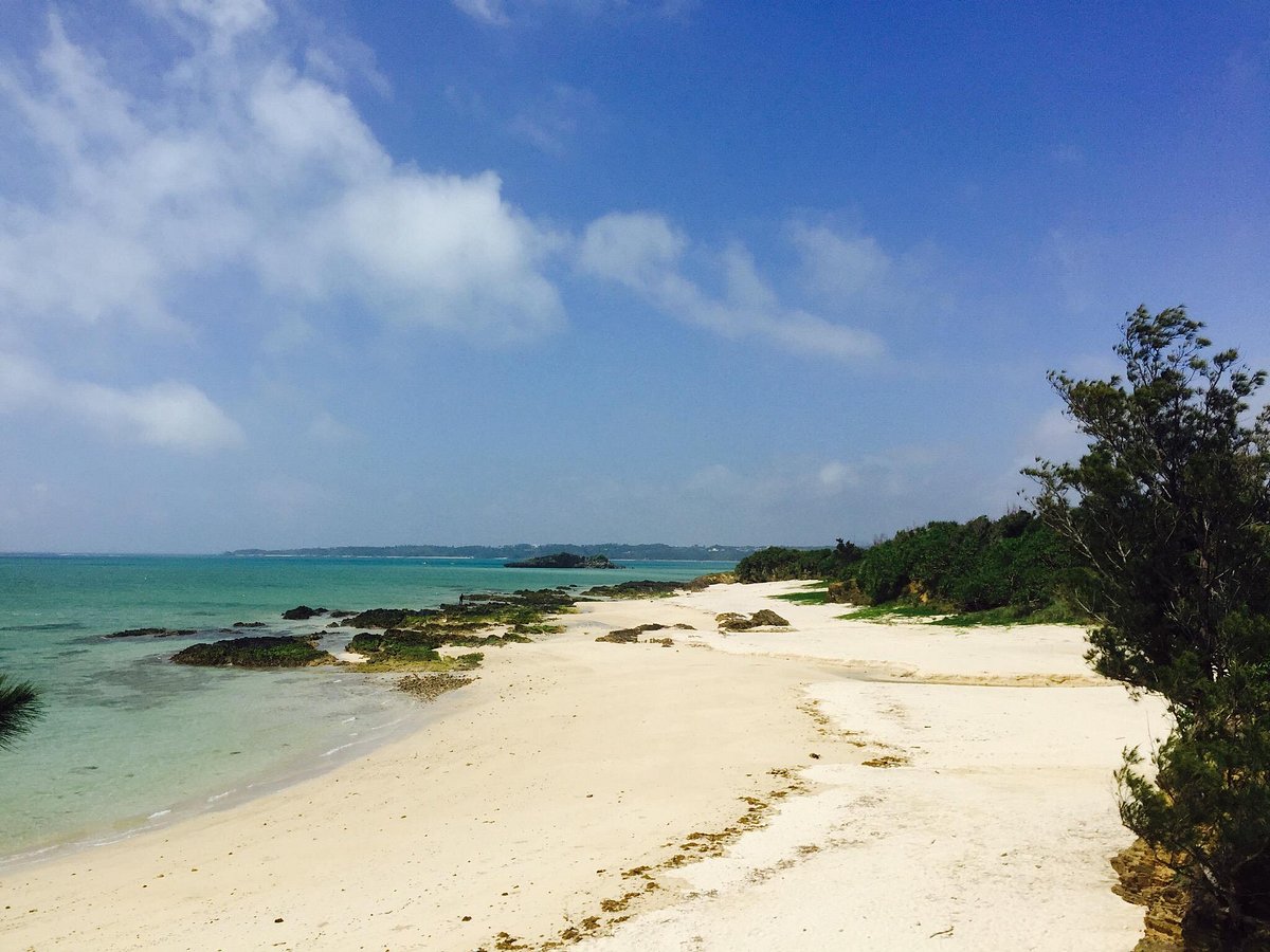 Sea Glass Beach cover image